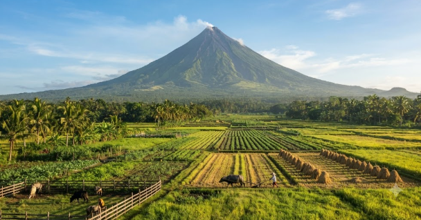 Mayon Volcano and local fields view